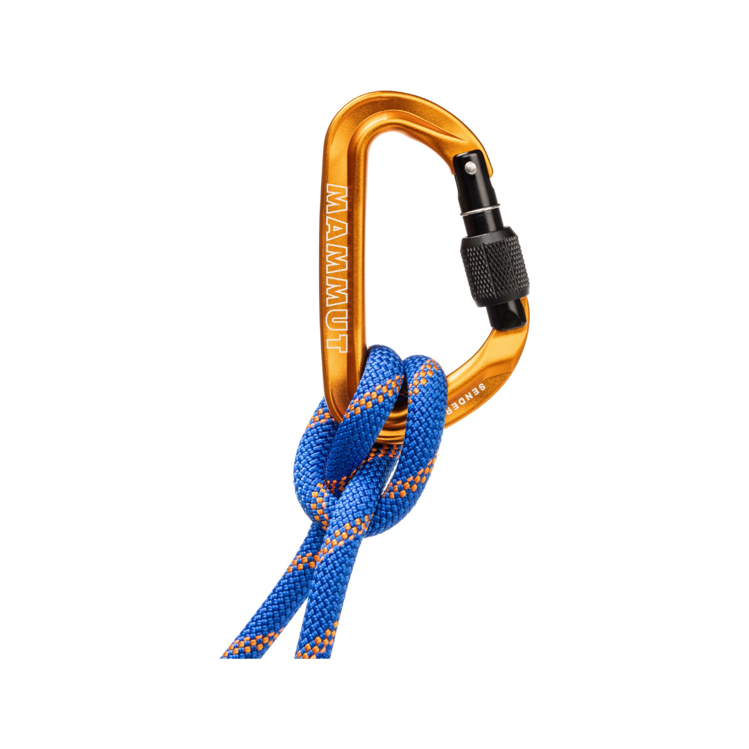 Mosquetón de seguridad tipo D Mammut Sender