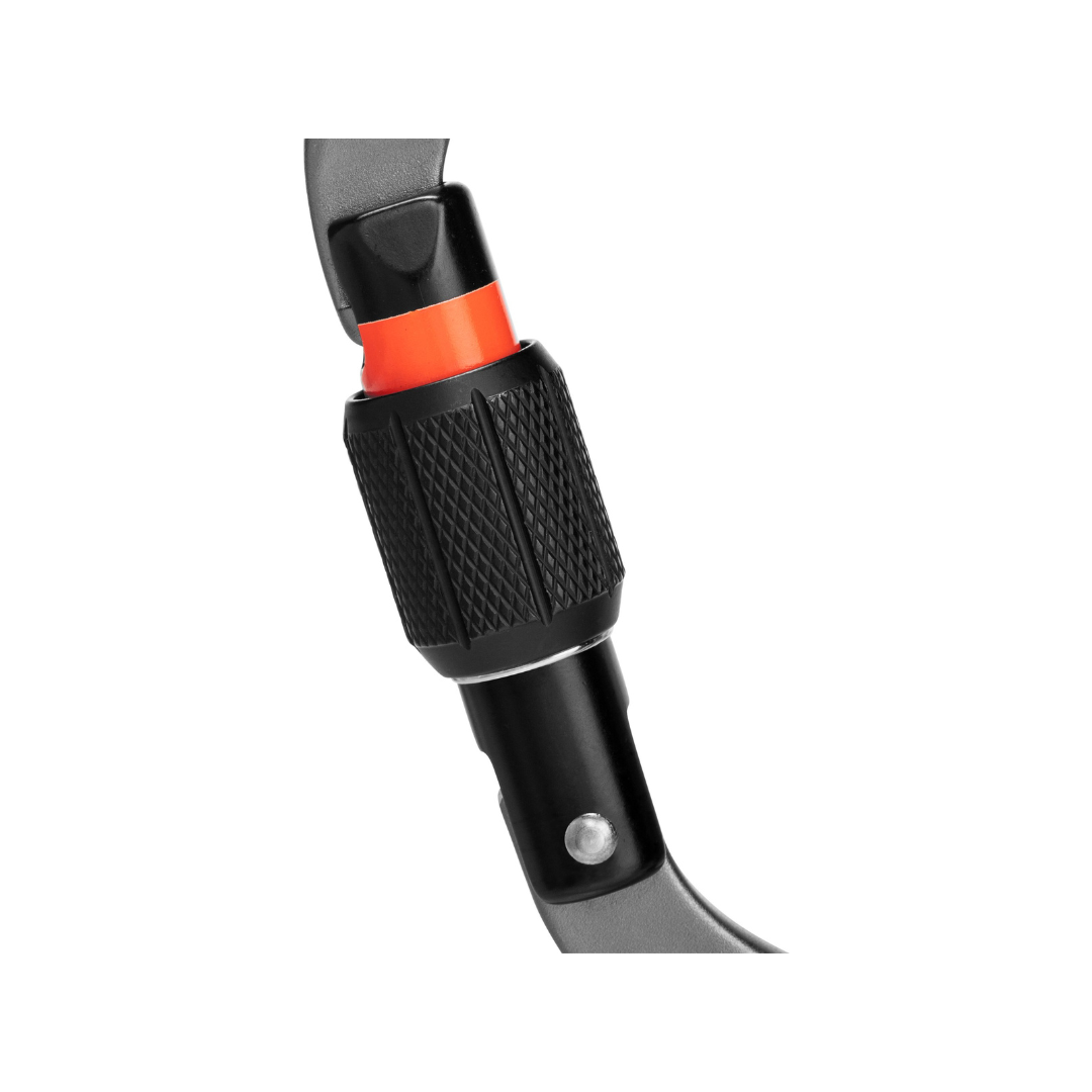 Mosquetón de seguridad HMS Mammut Workhorse