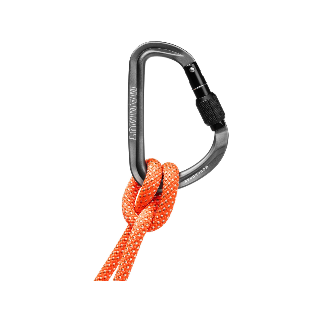 Mosquetón de seguridad HMS Mammut Workhorse